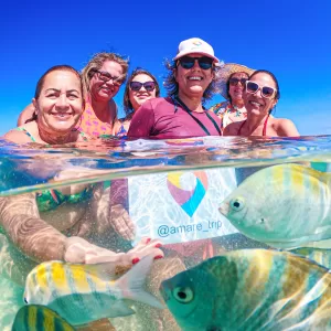 Rota dos Corais, grupo Amaré Trip