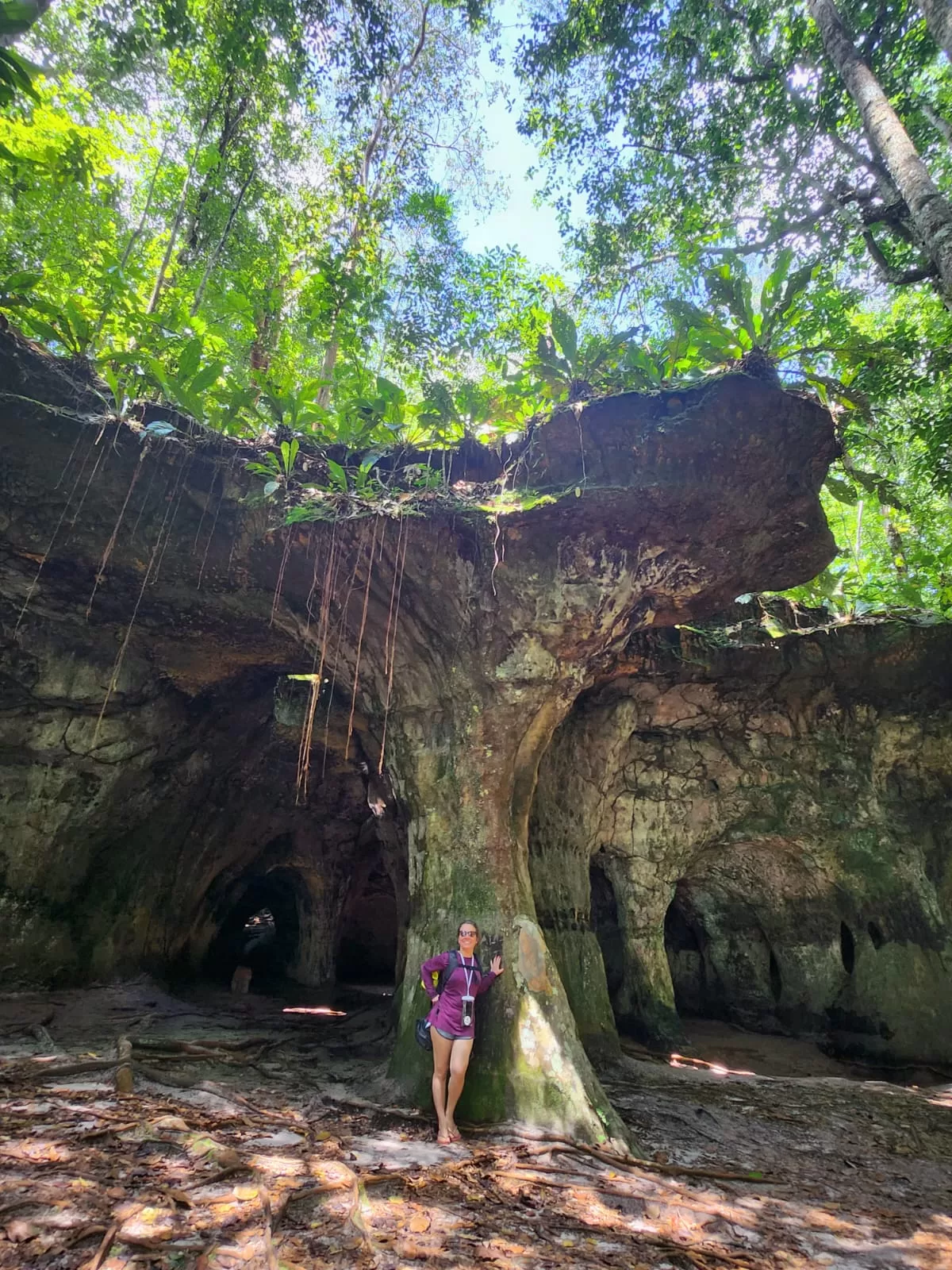 WhatsApp Image 2025-11-08 at 14.14.02